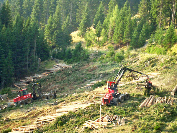 Bild 5 von Holzernte KraWe GmbH & Co KG
