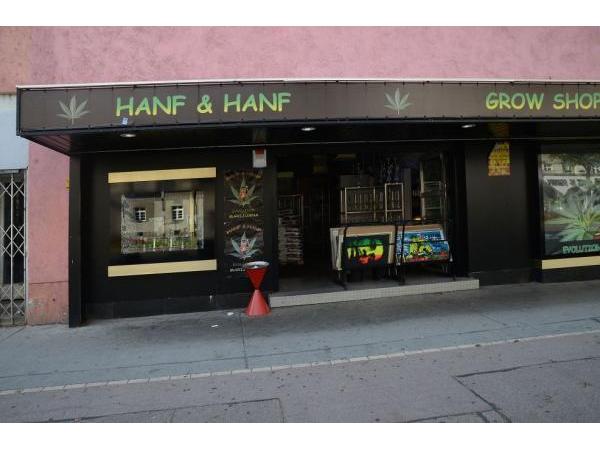 Bild 1 von Hanf und Hanf