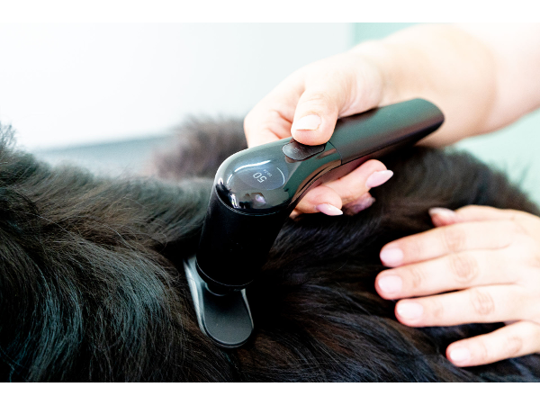 Bild 2 von MKEY Tiermassage & Bewegungstraining