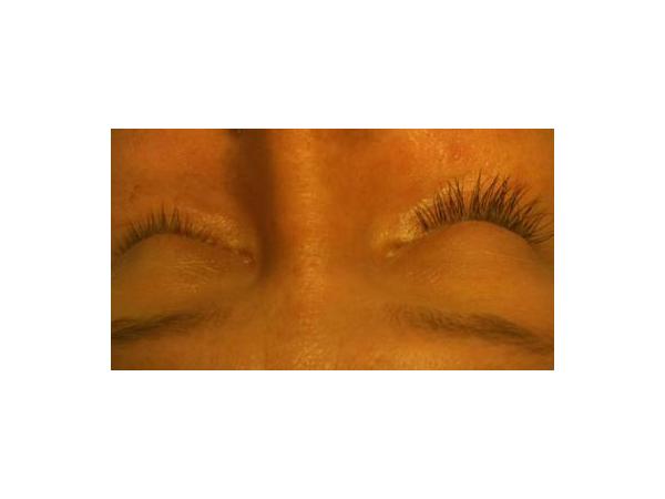 Bild 2 von Lashes Deluxe