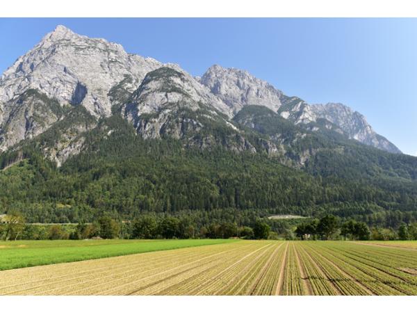 Bild 4 von Steirische Landesforstgärten Aussenstelle Salzburg