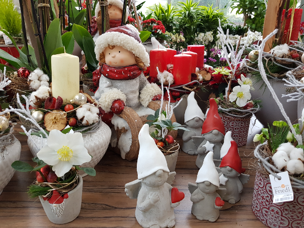 Bild 75 von Gartenbau-Blumen Helmut Friedl