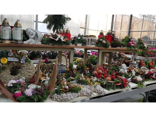Bild 79 von Gartenbau-Blumen Helmut Friedl