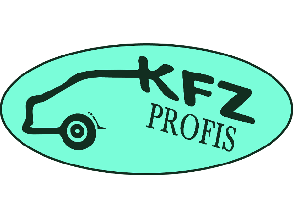 Bild 1 von KFZ-Profis Günter Salzl