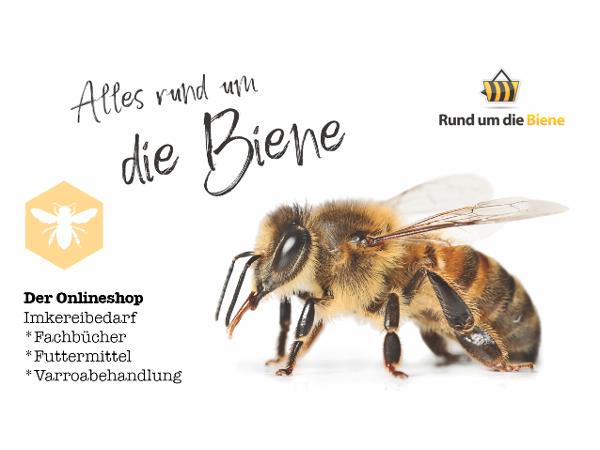 Bild 3 von Rund um die Biene e.U.