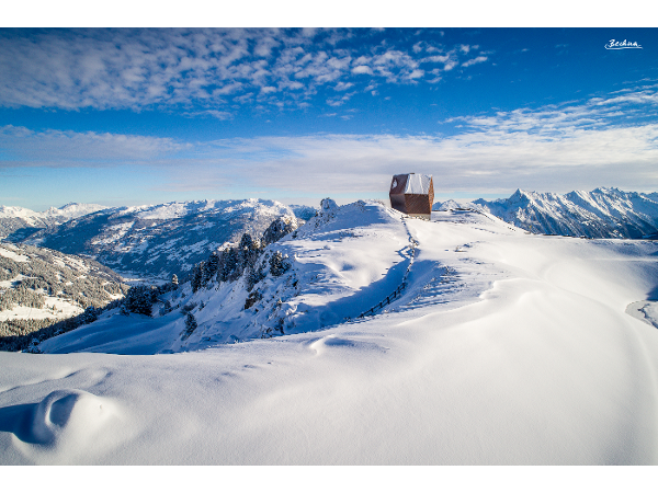 Bild 8 von Granatalm
