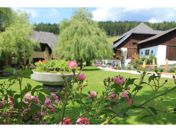 Bild 3 von Urlaub am Bauernhof Hönigshof