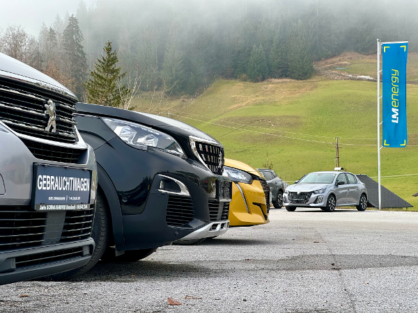 Bild 2 von Peugeot Autohaus Schwaighofer Rußbach bei Abtenau