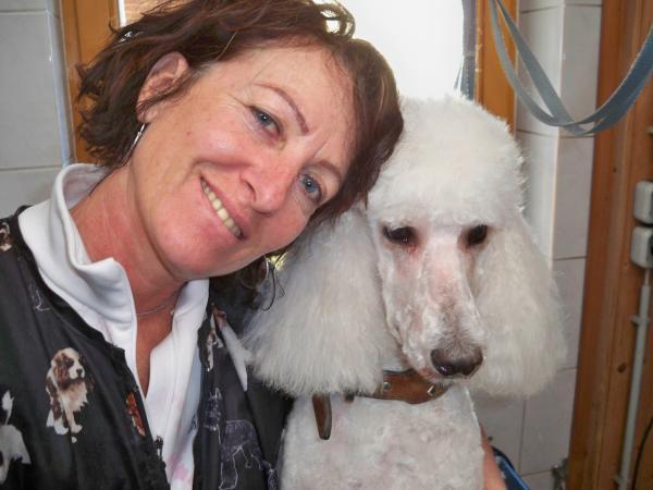 Bild 1 von Judy's Dog Corner - Hundesalon