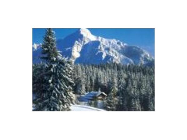Bild 4 von Postalm Stroblerhütte