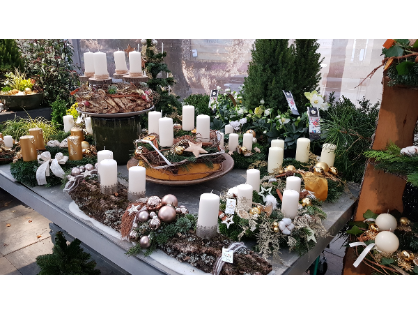 Bild 88 von Gartenbau-Blumen Helmut Friedl