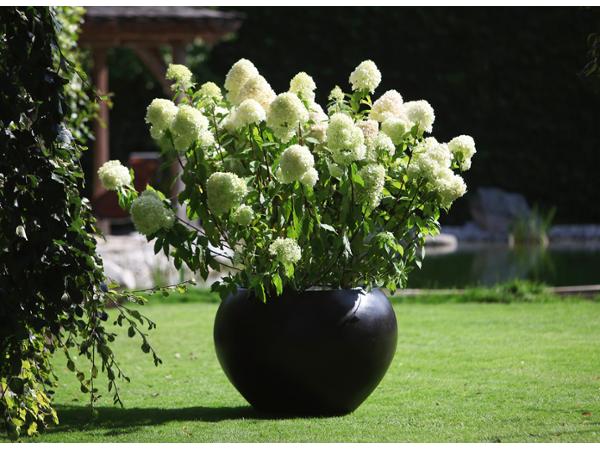 Bild 18 von Gartenglück GartengestaltungsgesmbH
