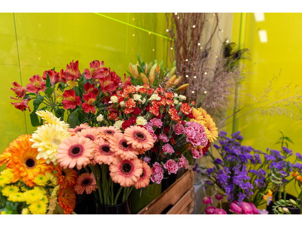 Bild 5 von Griessmaier Blumen Donauspital