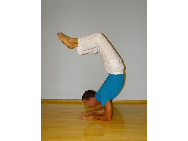 Bild 4 von DEVANANDA YOGASCHULE - Österr Schule f klassisches Yoga