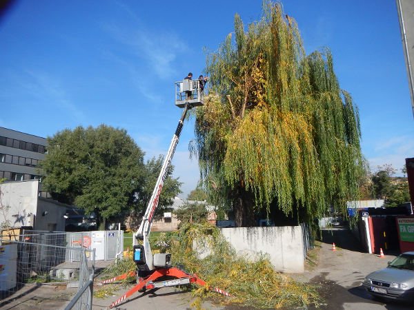 Bild 3 von Gartengestaltung Kermer