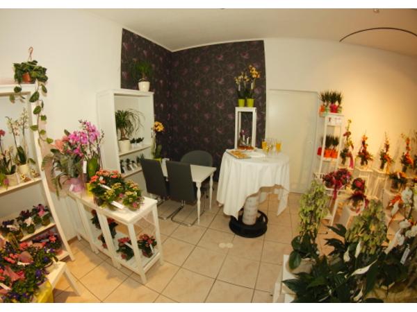 Bild 25 von Stil-Blüte, florale Manufaktur