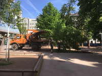 Steinbauer Garten- und Landschaftsgestaltung GmbH