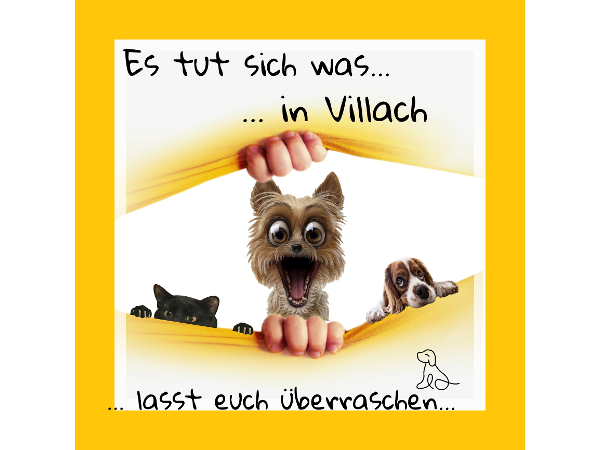 Bild 8 von PERRO - Villach Evelyne Bischof, Zoofachhandel & Hundesalon