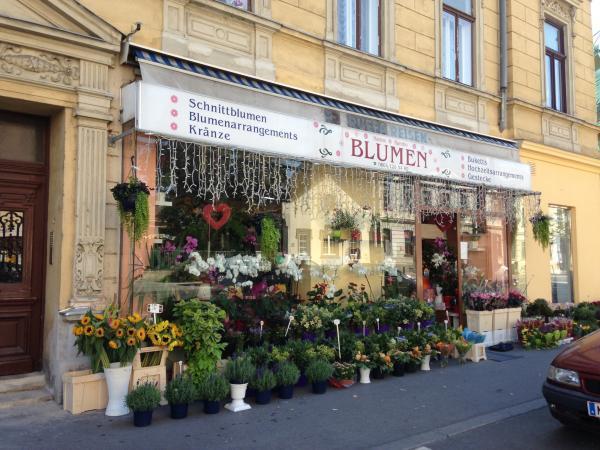 Bild 1 von Blumen Hannah & Rambo