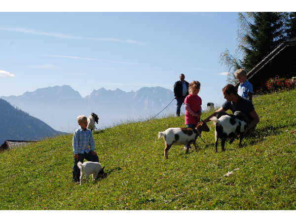 Bild 32 von Reitlhof