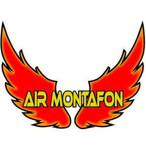 Logo von Air Montafon Markus Bargehr