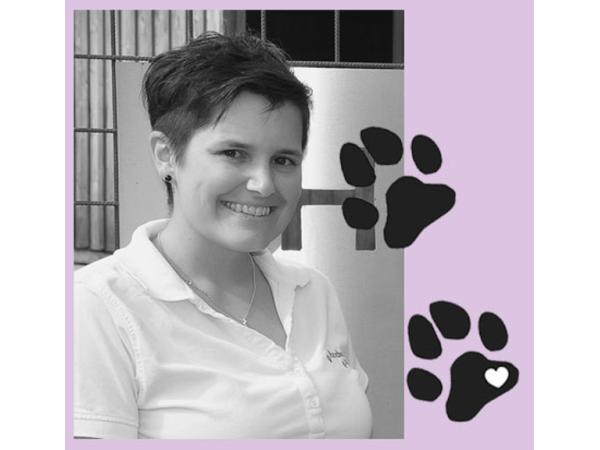 Bild 12 von Hundesalon Melanie