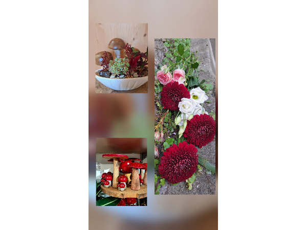 Bild 19 von Blumeneck Alexandra - Fachgeschäft f. Floristik