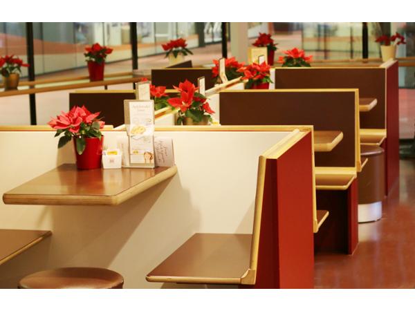 Bild 1 von Landtmann's feine Patisserie & Tortenshop