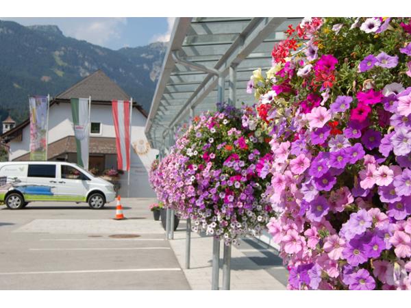Bild 2 von Plantscape Österreich