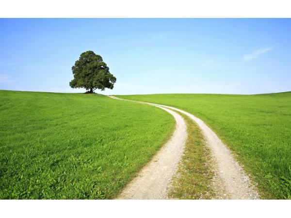 Bild 1 von Psychotherapie Strasswalchen