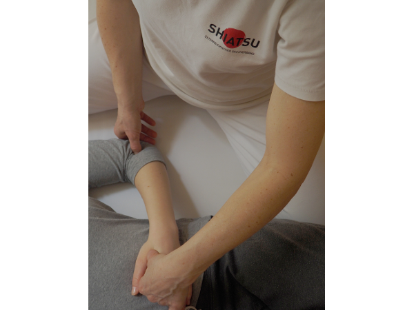 Bild 3 von Gundi Schachl Shiatsu