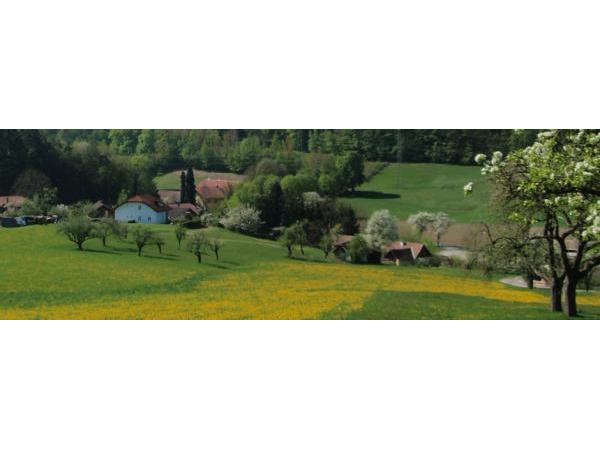 Bild 9 von Bruckmayer Immobilien