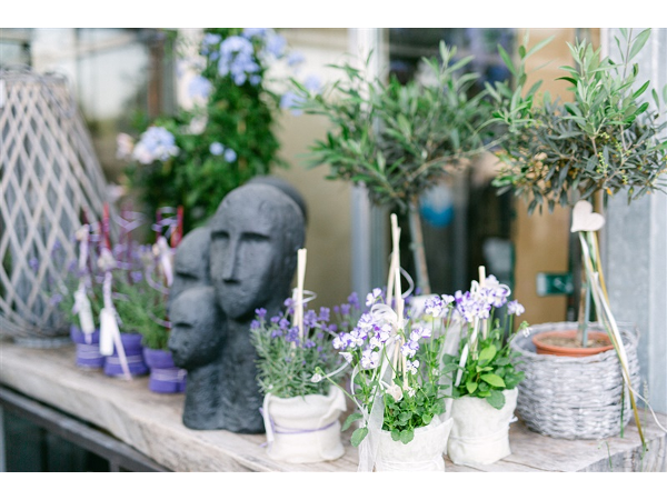 Bild 4 von Blumen Ruprecht KG
