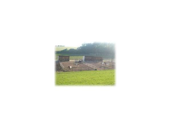 Bild 2 von REITSTALL ULLRAM KG