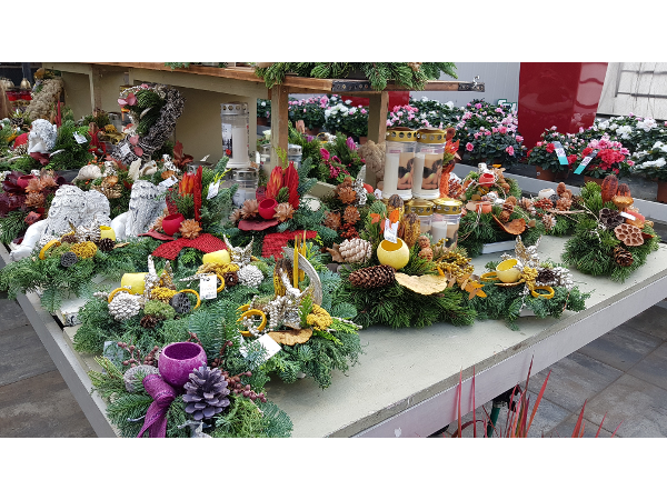Bild 83 von Gartenbau-Blumen Helmut Friedl