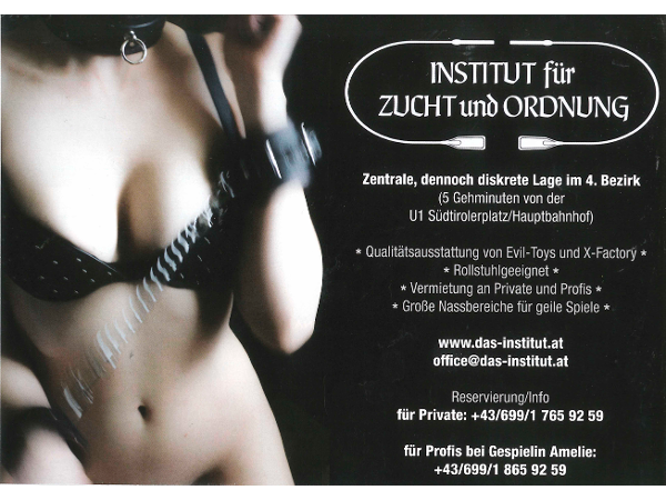 Bild 5 von Institut für Zucht und Ordnung