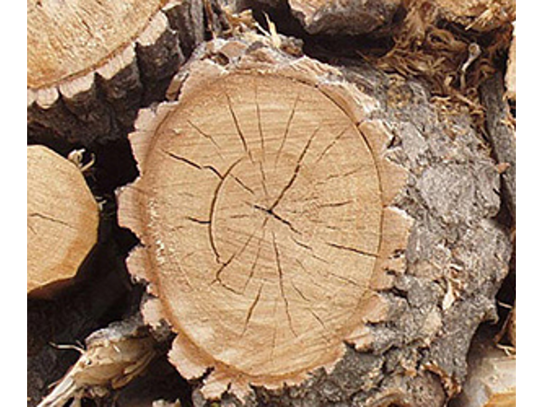 Bild 1 von BIO-WÄRME LOFER registrierte GesmbH