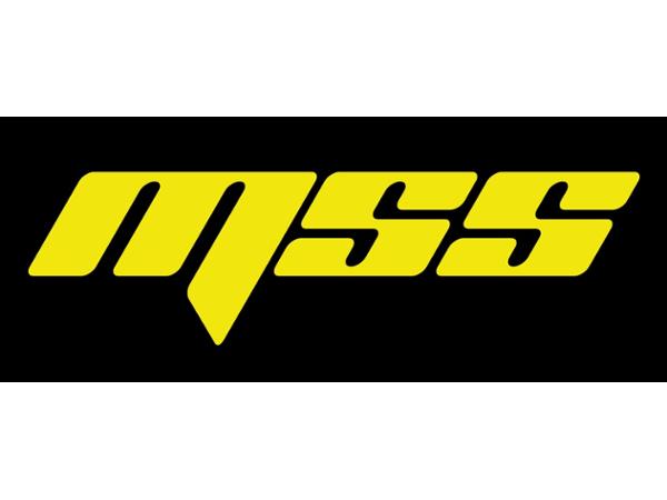 Bild 4 von MSS - Maximum Security Services GmbH