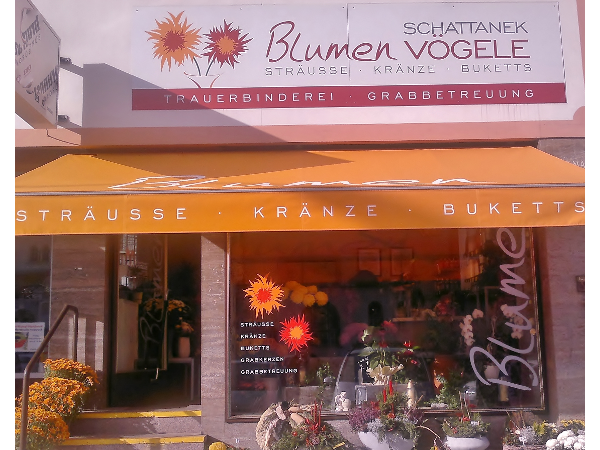 Blumen Vogele In Innsbruck Herold At Innsbruck hotels with free parking. blumen vogele in innsbruck herold at