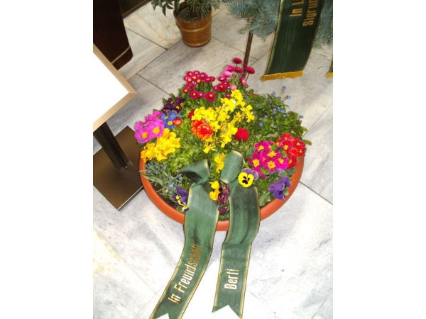 Bild 2 von Blumen Richter