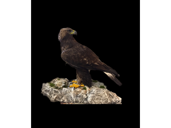 Bild 13 von Vith Rainer