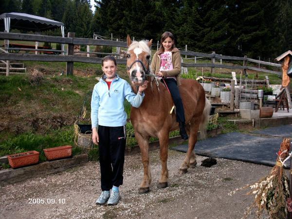Bild 4 von Reitstall Ponderosa