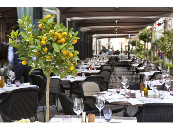 Bild 1 von Fabios Restaurant