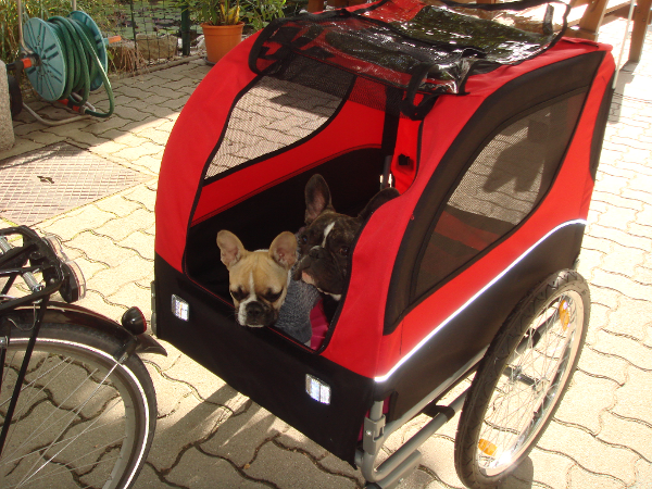 Bild 1 von Radsport Waldherr