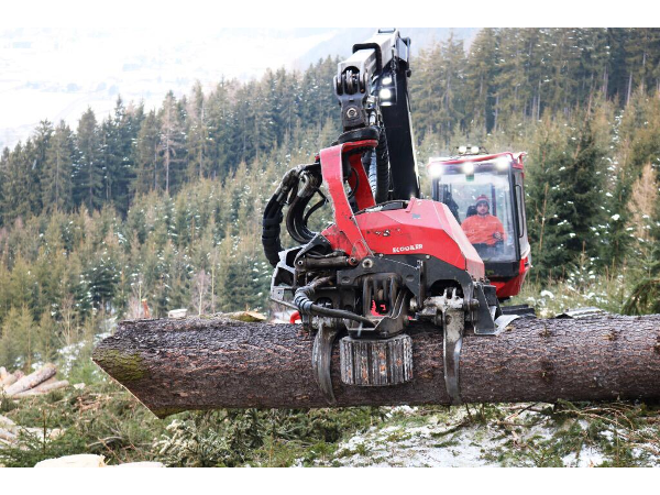 Bild 14 von Holzernte KraWe GmbH & Co KG