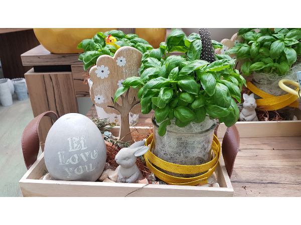 Bild 105 von Gartenbau-Blumen Helmut Friedl