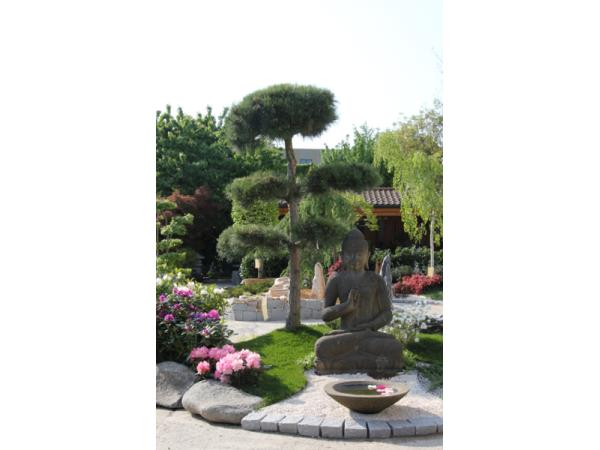 Bild 12 von Gartenglück GartengestaltungsgesmbH