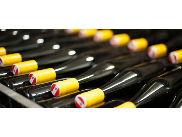 Bild 9 von Weingut Edlinger