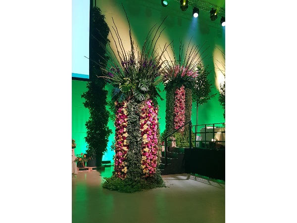 Bild 120 von Gartenbau-Blumen Helmut Friedl