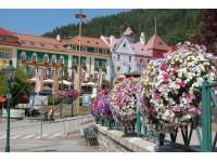 PLANTSCAPE Österreich